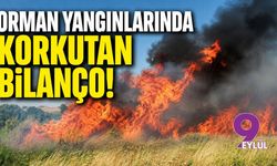 Orman yangınlarında korkutan bilanço!