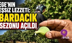 Ege’nin eşsiz lezzeti: Bardacık sezonu açıldı