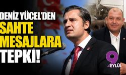 Deniz Yücel'den sahte mesajlara tepki!