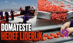 Domateste hedef liderlik