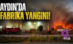 Aydın'da fabrika yangını!