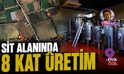 Sit alanında 8 kat üretim