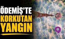 Ödemiş'te korkutan yangın