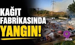 Tire'de kağıt fabrikasında yangın!