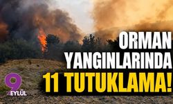 Orman yangınlarında 11 tutuklama!