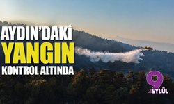 Aydın'daki yangın kontrol altında