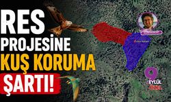 İzmir Aliağa'da RES projesine kuş koruma şartı!
