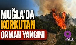 Muğla'da korkutan orman yangını