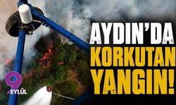 Aydın'da korkutan yangın!