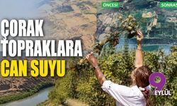 Çorak topraklara can suyu