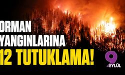 Orman yangınlarına 12 tutuklama!
