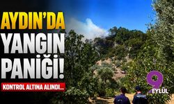 Aydın'da yangın paniği! Kontrol altına alındı...