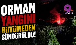 Aydın Bozdoğan'da yangın büyümeden söndürüldü