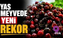 Yaş meyvede yeni rekor