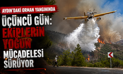 Aydın'daki orman yangınında üçüncü gün: Ekiplerin yoğun mücadelesi sürüyor