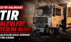 Seyir halindeki TIR alevlere teslim oldu