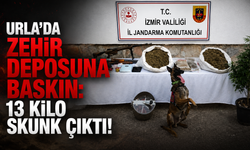 Urla’da zehir deposuna baskın: 13 kilo skunk çıktı!