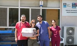 Manifest üyesi Esin Bahat engelli kedi sahiplendi