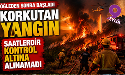 Kuyucak’ta orman yangını sürüyor: Ekipler seferber oldu