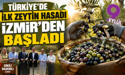 Türkiye’de ilk zeytin hasadı İzmir’den başladı