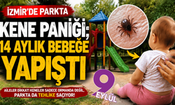 Tire’de parkta korkutan kene vakası: 14 aylık bebeğe yapıştı
