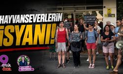 Hayvanseverlerin İsyanı