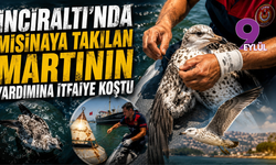 İnciraltı'nda misinaya takılan martının yardımına itfaiye koştu