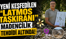 Yeni keşfedilen "Latmos Taşkıranı" madencilik tehdidi altında