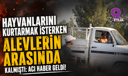 Hayvanlarını kurtarmak isterken alevlerin arasında kalmıştı: Acı haber geldi!