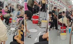Metroda yılan paniği!