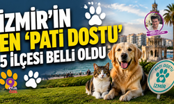 İzmir’in En 'Pati Dostu' 5 İlçesi Belli Oldu