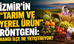 İzmir’in "Tarım ve Yerel Ürün" Röntgeni: Hangi İlçe Ne Yetiştiriyor?