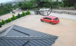 Sürücü Köpeğe Çarpıp Kaçtı: 10 Yaşındaki Küçük Kız Baygınlık Geçirdi!