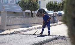Aliağa ve Seferihisar’da yollar yenileniyor