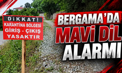 Bergama'da mavi dil alarmı: 15 mahalle 40 gün süreyle karantinaya alındı!