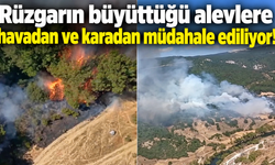 Rüzgarın büyüttüğü alevlere havadan ve karadan müdahale ediliyor!