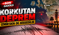 İzmir'de hissedilen deprem paniğe neden oldu