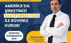 Türk Girişimcilerin Küresel Açılımı: ABD'de Şirket Kurulumu, Eyalet Seçimi ve EIN Rehberi