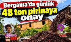 Bergama'da günlük 48 ton pirinaya onay