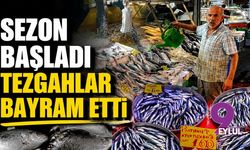 Sezon başladı tezgahlar bayram etti