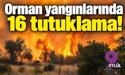Orman yangınlarında 16 tutuklama!