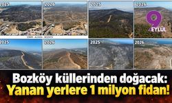 Bozköy küllerinden doğacak: Yanan yerlere 1 milyon fidan!
