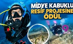 Midye kabuklu resif projesine ödül