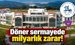 Döner sermayede milyarlık zarar!