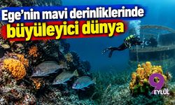Ege'nin mavi derinliklerinde büyüleyici dünya