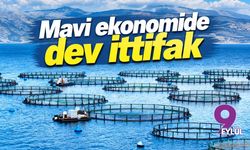 Mavi ekonomide dev ittifak