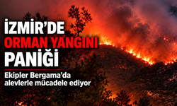 İzmir’de orman yangını paniği: Ekipler Bergama’da alevlerle mücadele ediyor