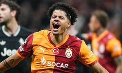 Aslan Sara ile kükredi