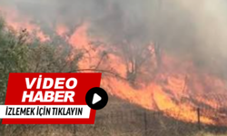 İzmir yolunda korkutan yangın!