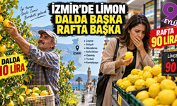 İzmir’de limonun fiyatı dalda başla, rafta bambaşka